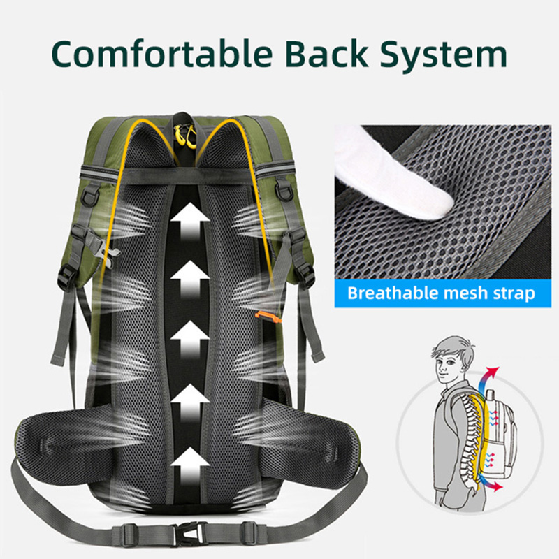 50L 여행 배낭 캠핑 남자 대형 하이킹 가방 관광 배 - Outdoor Camping Warehouse 리뷰 및 가격